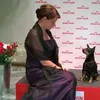 diamonddog_73