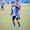 formiga_editsxx