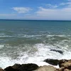 abbdodak29