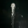ddthjjbvchjknbfzah