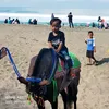 rayyannarendra783