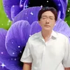 thanhbinhbctn