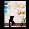 nooralameen02