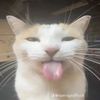 javi_2629