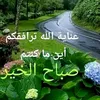 mohammedibrahimahmedabu0