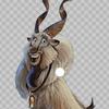 markhor2028