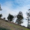 www.amerab_04112019