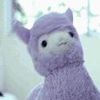 user6761210321218