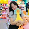 chiie1008