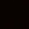 dark_flower09