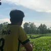 chauvohoangphuc3312