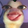 naldy_bm