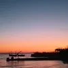 katerinap_1204
