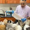 Aljawareh Veterinary Clinic
