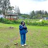 shintanapitupulu_