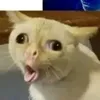 janevimm0r3