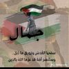 gamal_nady22