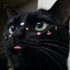 katzenmecheer
