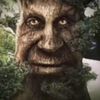 robert__polson57