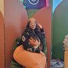 the_janay