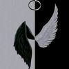 shahd3885