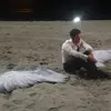 .nazzaro