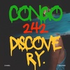 Congo Discovery (2sans42)