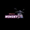 ownernya_wingkiy