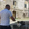 veselcerkini