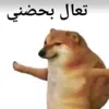 _5p5e