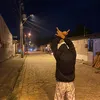ppredestinado00