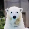 nnoooott_