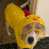 _locdog5