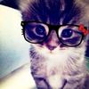 raii_syaa4