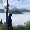 dyansyahh_