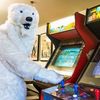 p0larbear33