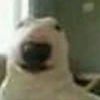 mrmolnia95