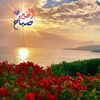 bright_355