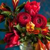 nassem_alward_