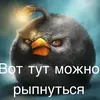 legasybird422