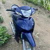 lambin_26
