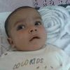 ahmedalbasha665