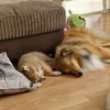 miloandstitchshelties