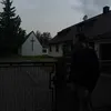 skripzz