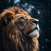 arslanfull