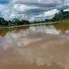 ildolima130