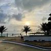 castro_marci