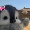 park_hasna7