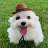 koolespillune