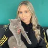 arlo_the_bsh